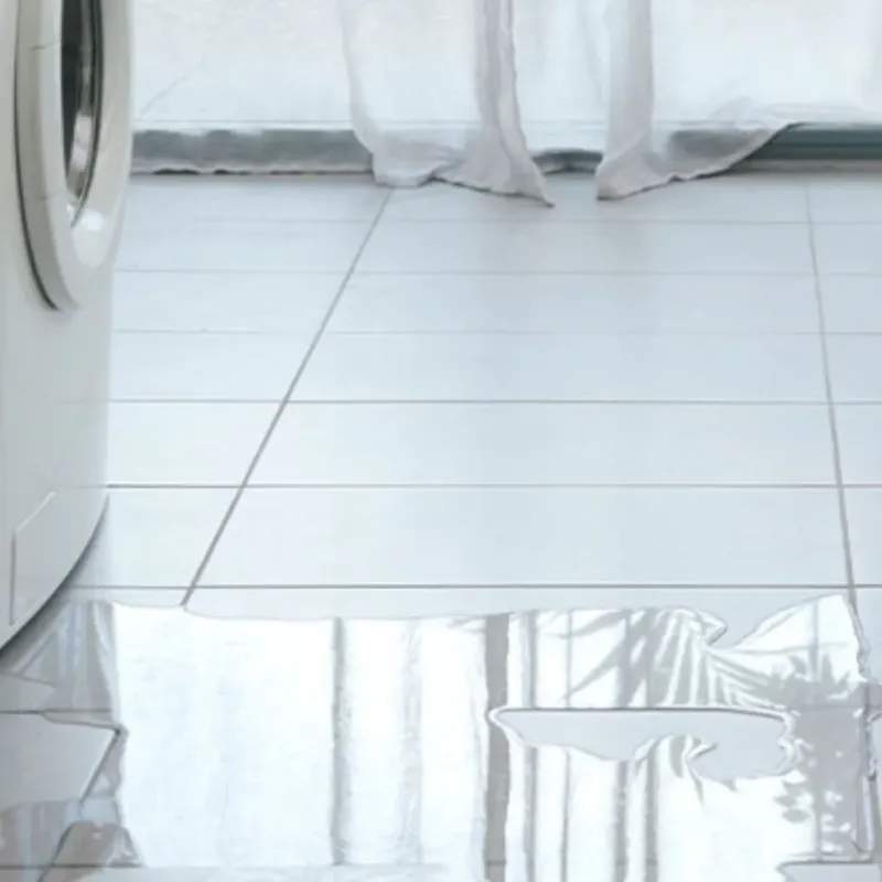 Appliance Leak Cleanup in Granville County, NC