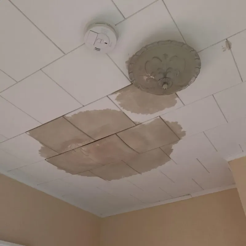 Ceiling Water Damage Repair in Granville County, NC