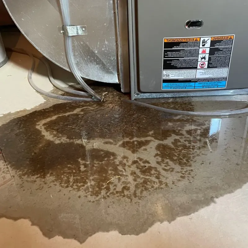 Pipe Burst and Leak Restoration in Granville County, NC